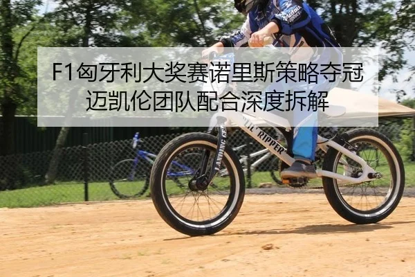 F1匈牙利大奖赛诺里斯策略夺冠 迈凯伦团队配合深度拆解